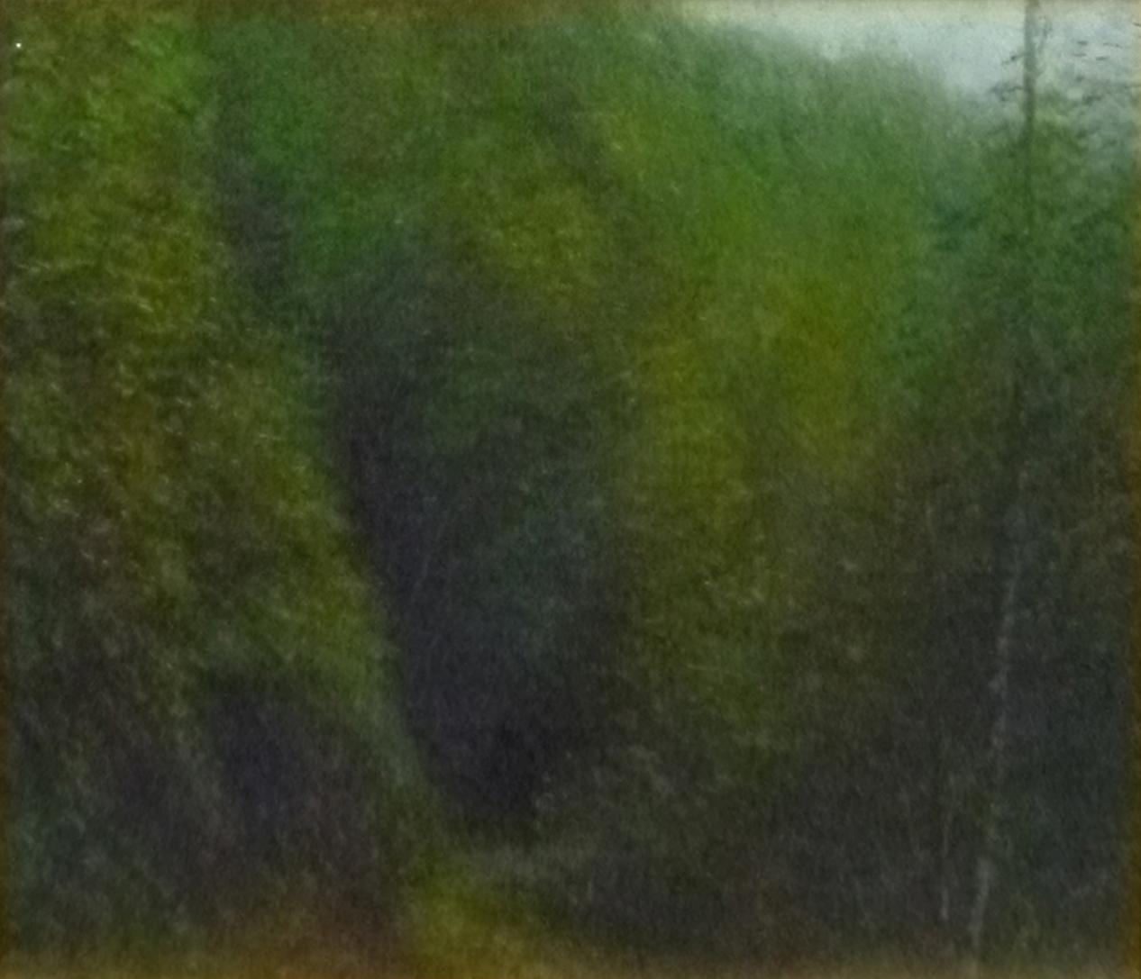 古寺への径にて | ｜正光画廊 