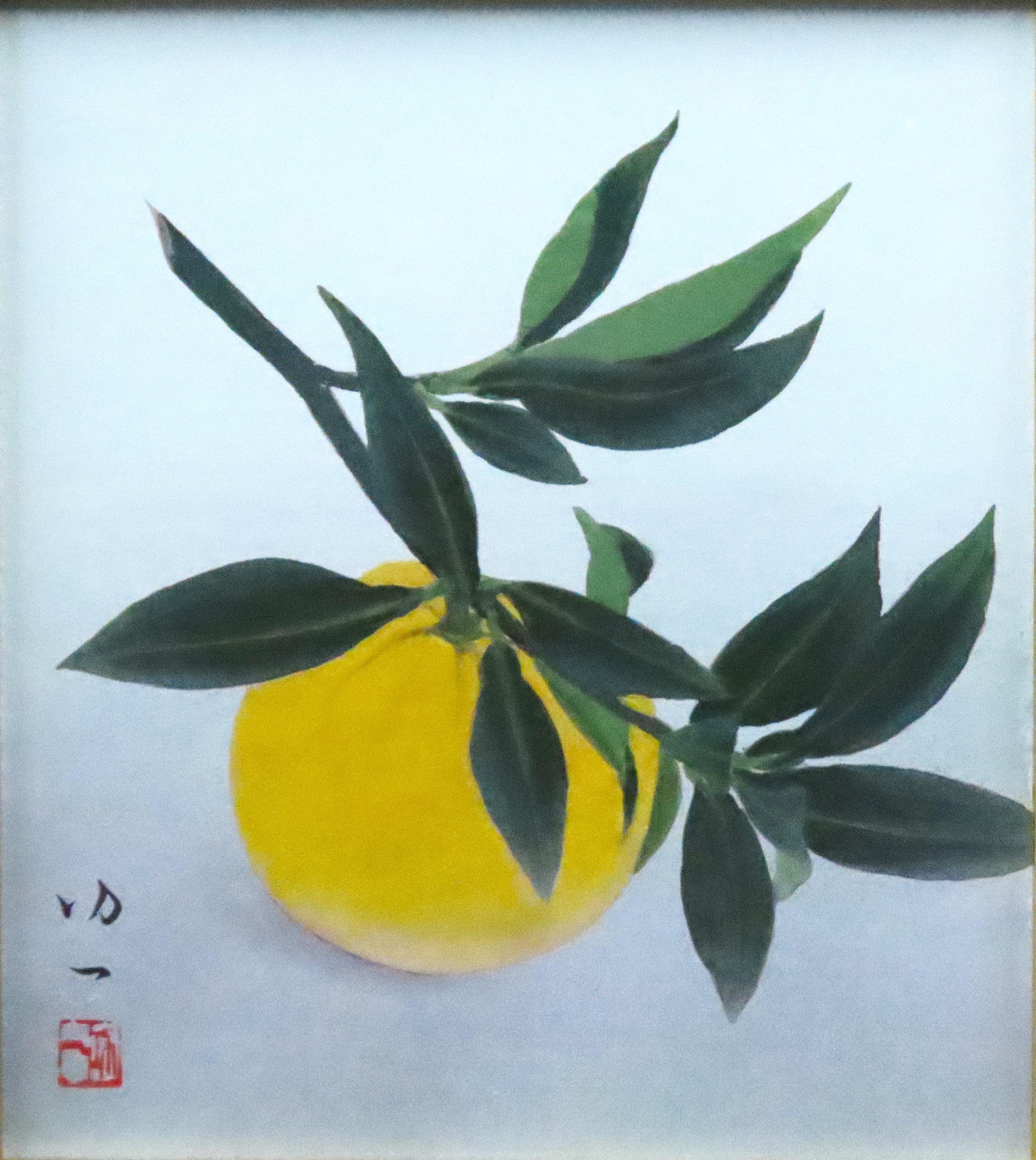 代々 | ｜正光画廊